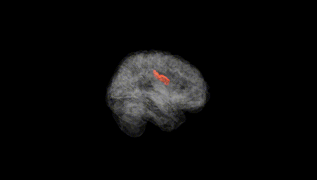 Full Brain Black