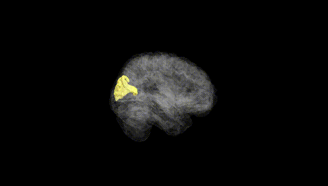 Full Brain Black