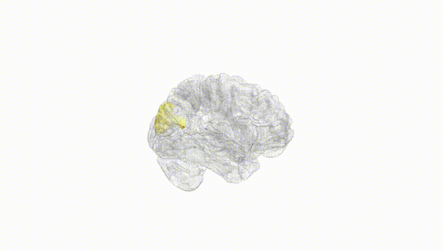 Hemisphere White