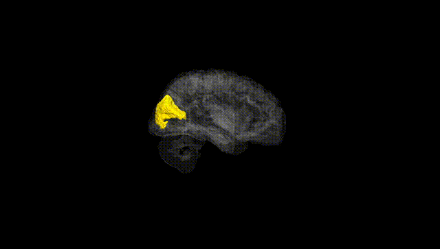 Hemisphere Black