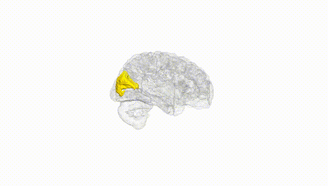 Hemisphere White