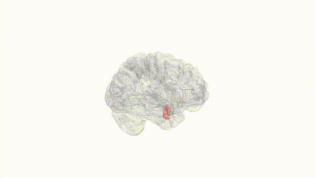 Hemisphere White