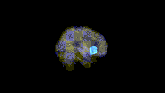 Full Brain Black