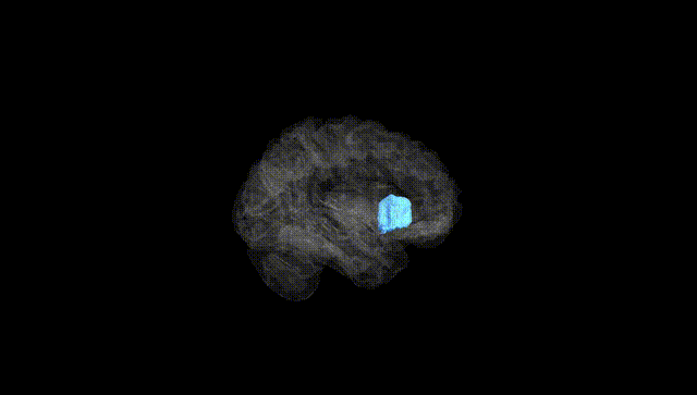 Hemisphere Black
