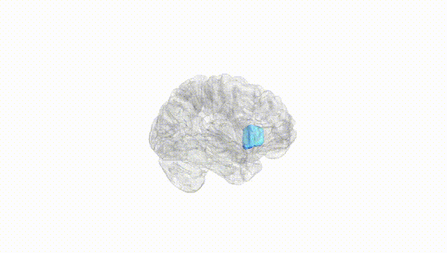 Hemisphere White