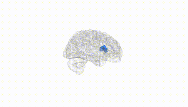 Hemisphere White