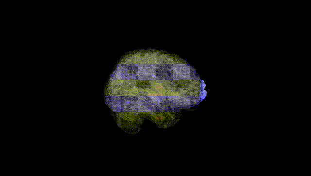 Full Brain Black