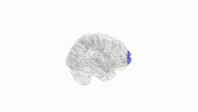 Hemisphere White