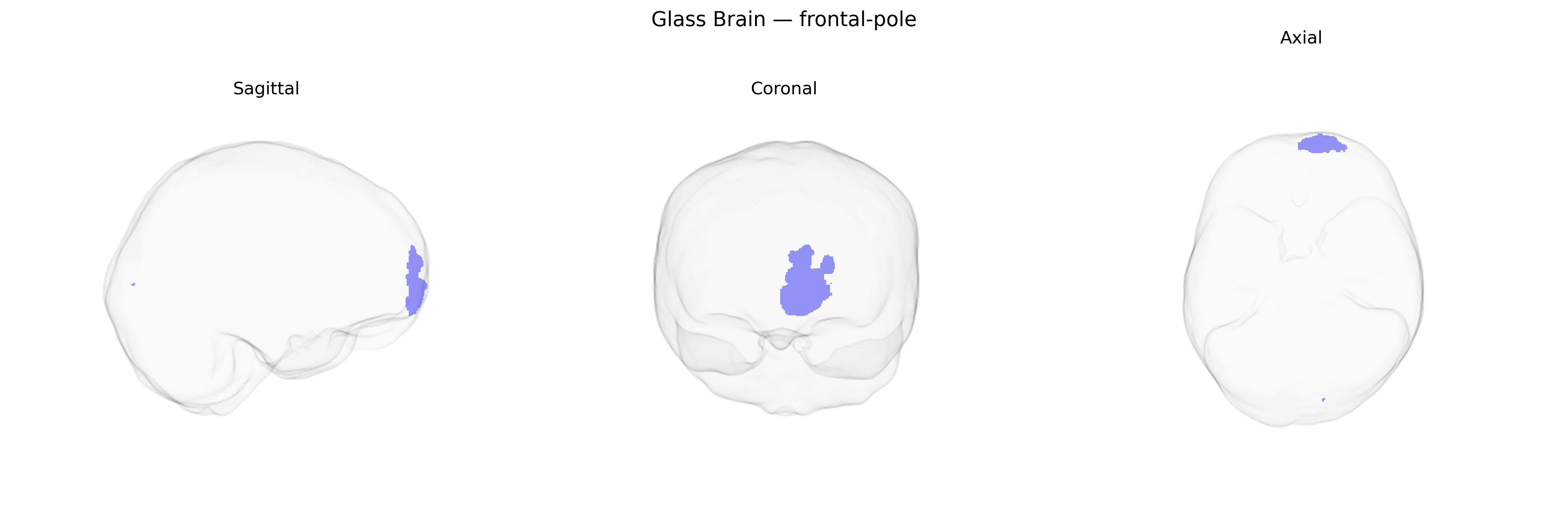 Triplanar Ghost Brain