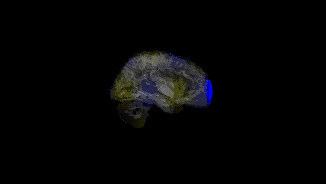 Hemisphere Black