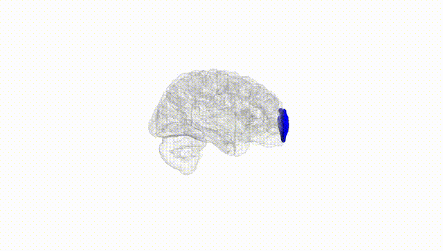 Hemisphere White