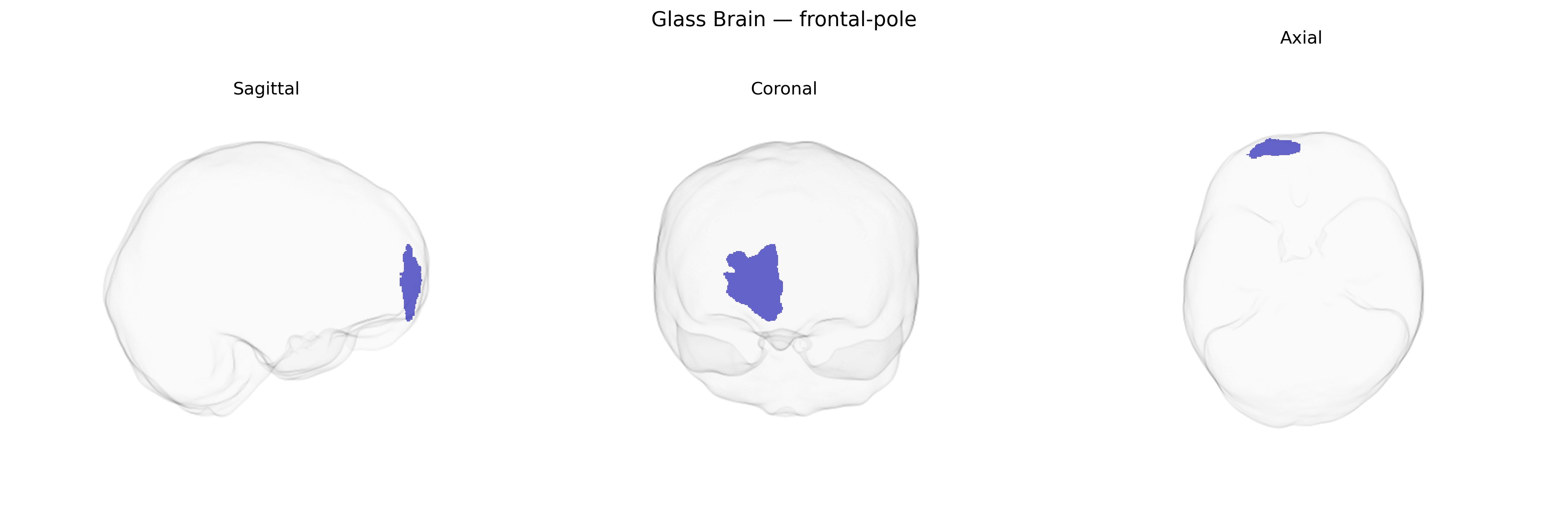 Triplanar Ghost Brain