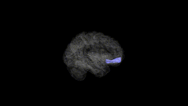 Hemisphere Black