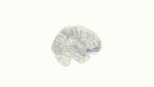 Hemisphere White