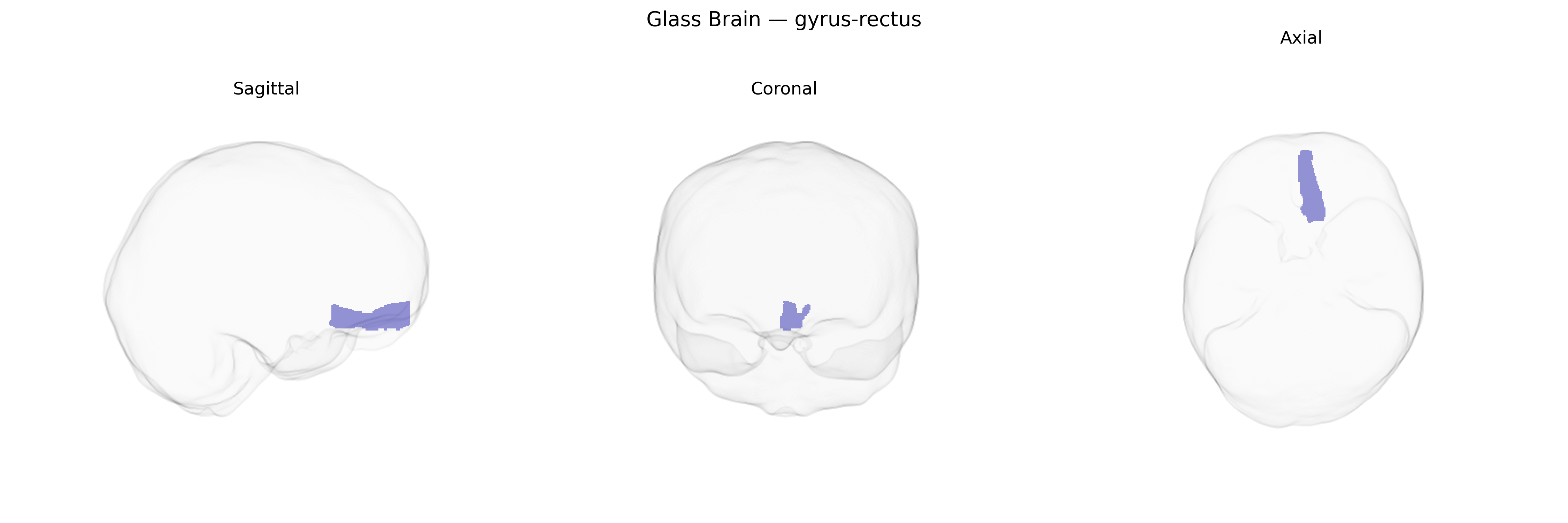 Triplanar Ghost Brain