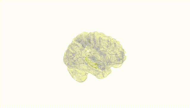 Hemisphere White