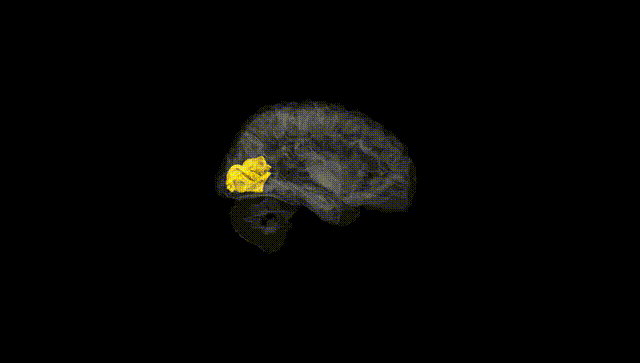 Hemisphere Black