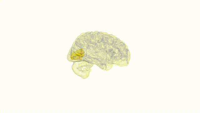 Hemisphere White