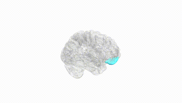 Hemisphere White