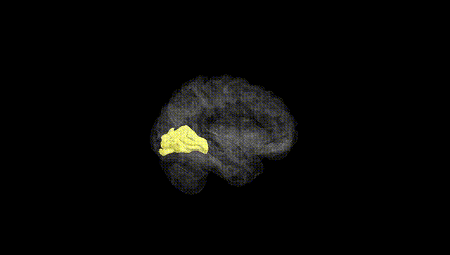 Hemisphere Black