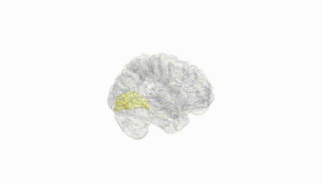 Hemisphere White