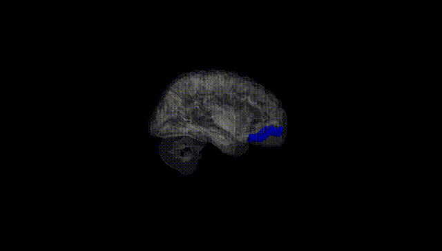 Hemisphere Black