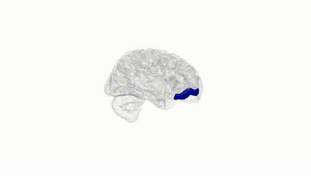 Hemisphere White