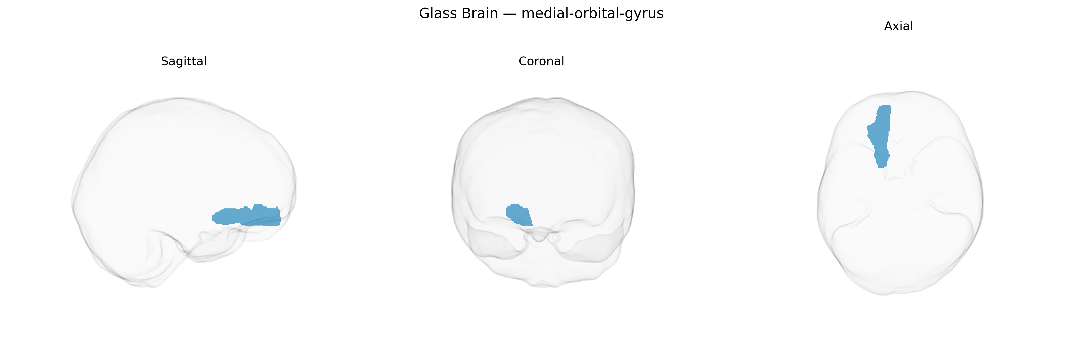 Triplanar Ghost Brain