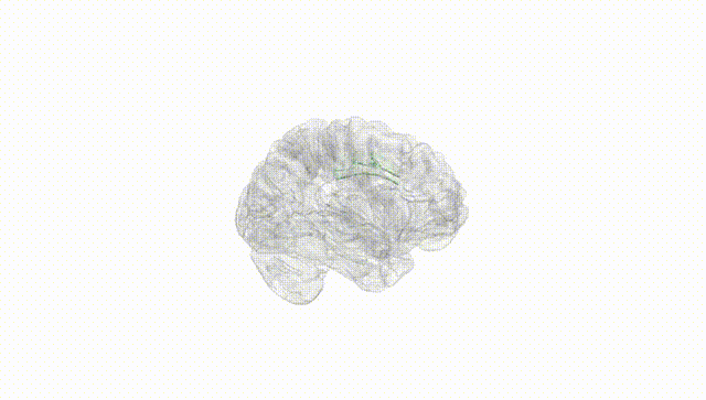 Hemisphere White
