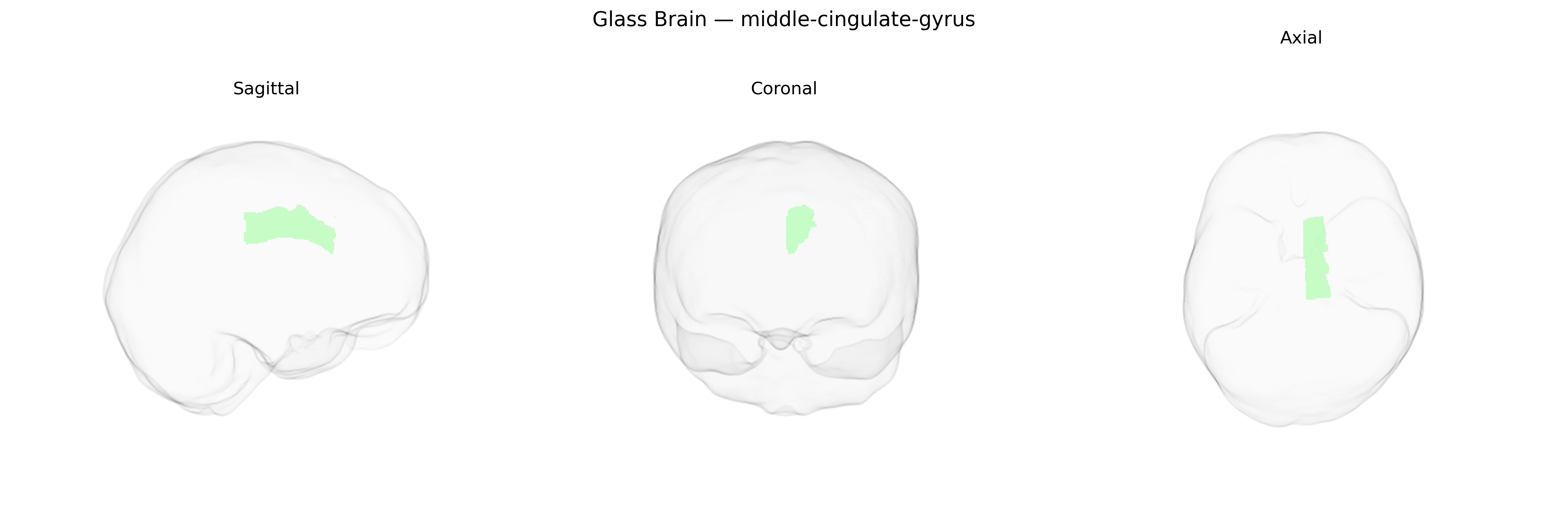 Triplanar Ghost Brain