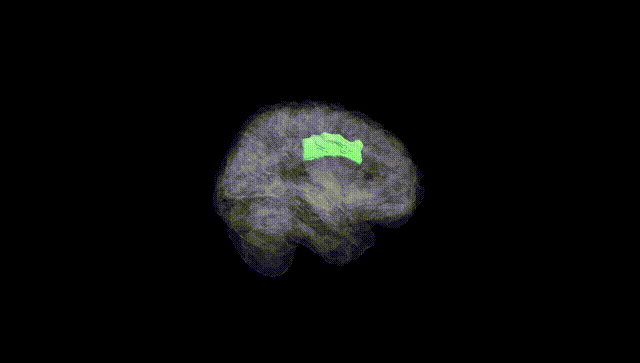 Full Brain Black
