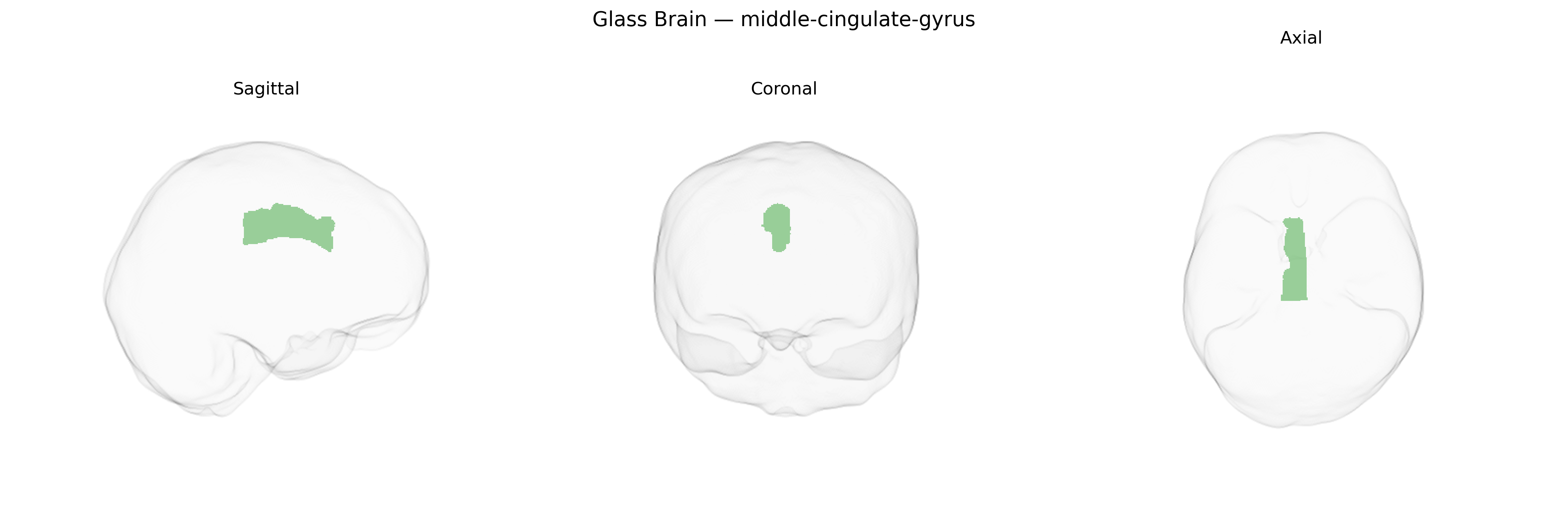 Triplanar Ghost Brain
