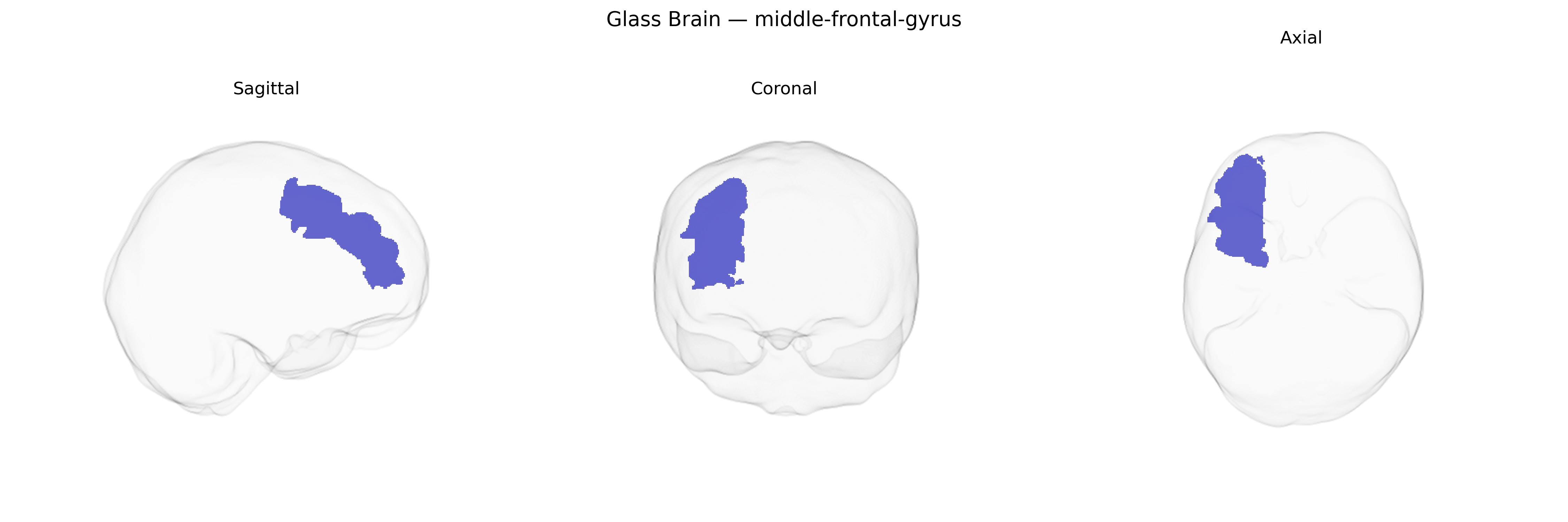 Triplanar Ghost Brain