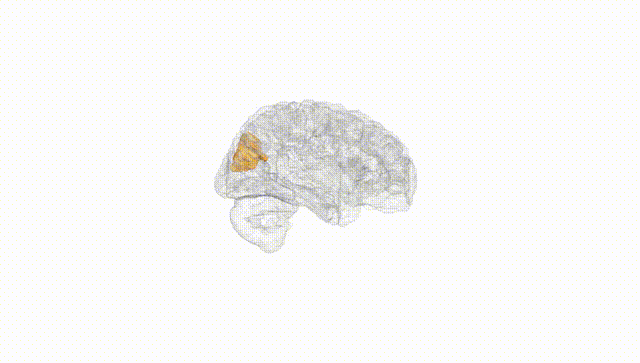 Hemisphere White