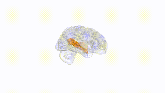 Hemisphere White