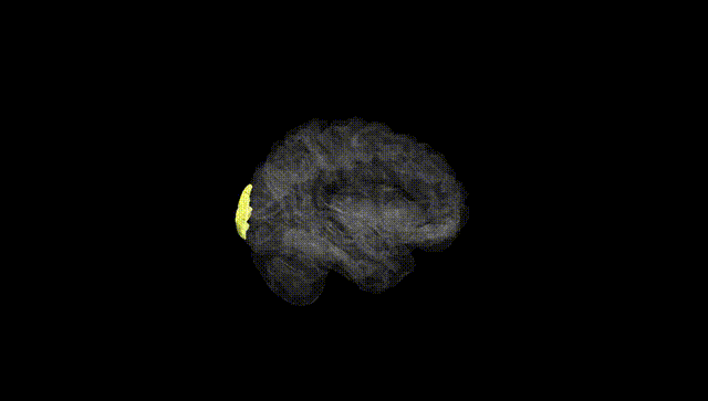 Hemisphere Black