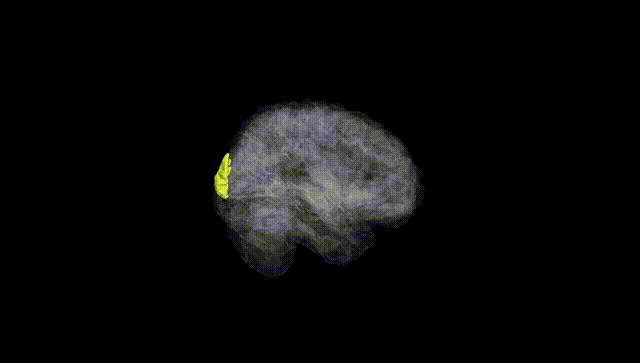 Full Brain Black