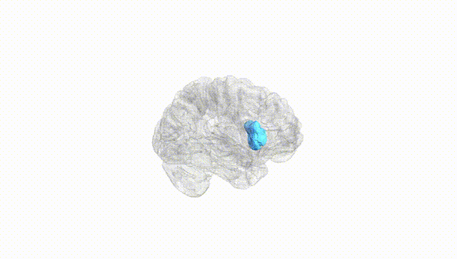 Hemisphere White