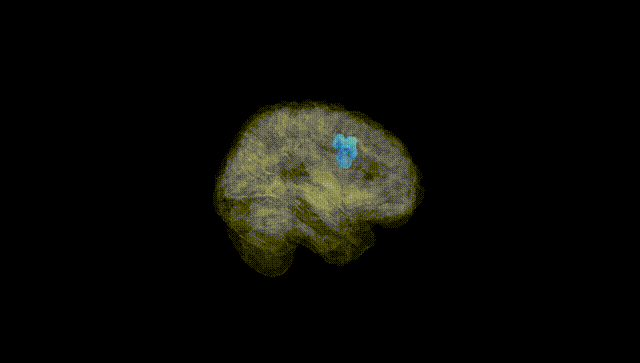 Full Brain Black