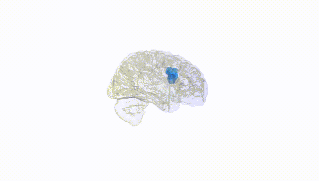 Hemisphere White