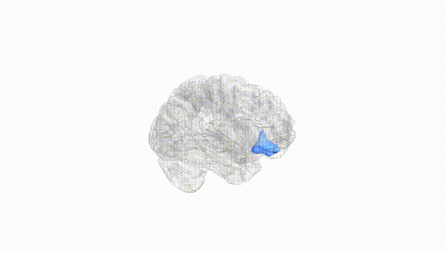Hemisphere White