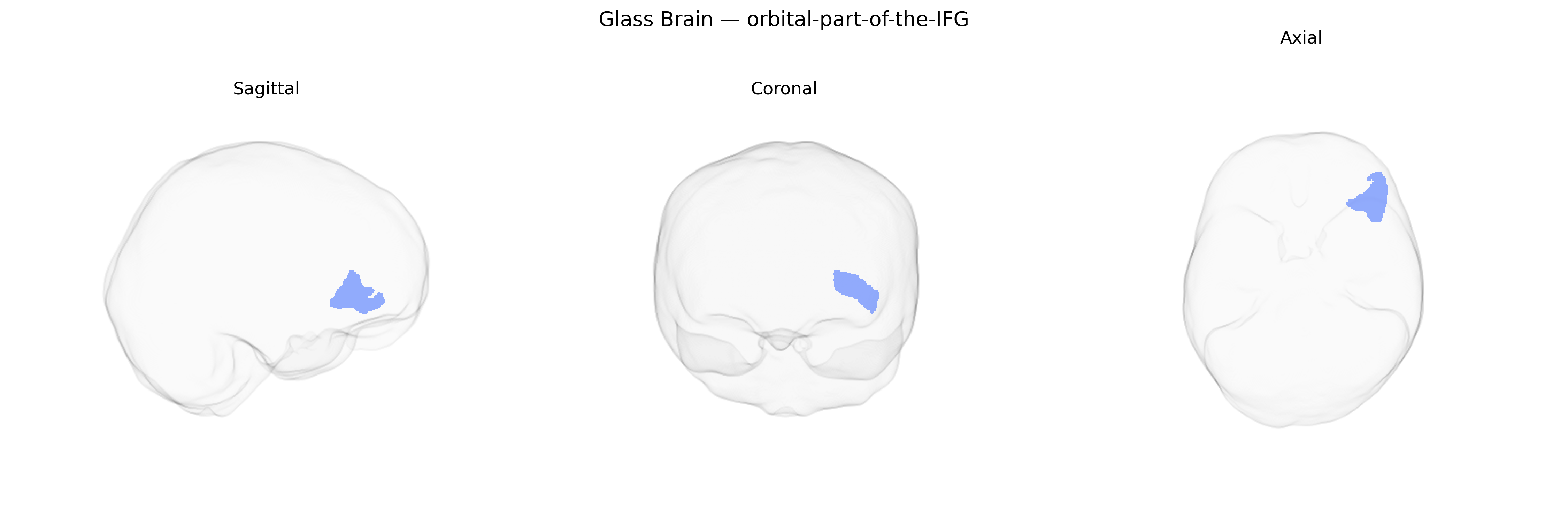 Triplanar Ghost Brain