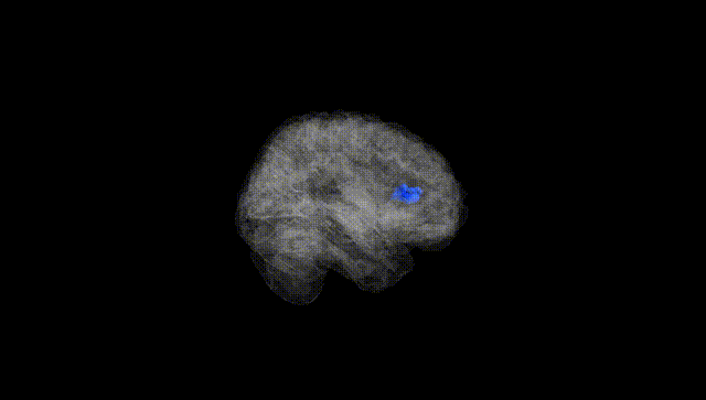 Full Brain Black