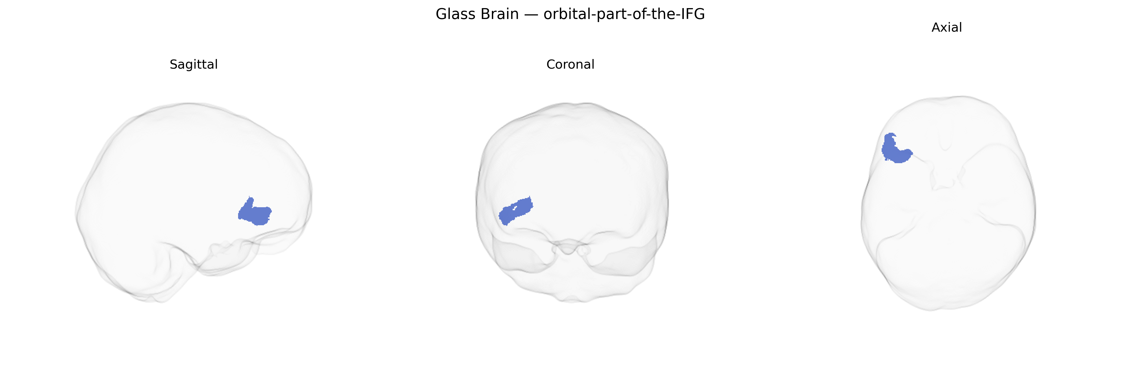 Triplanar Ghost Brain