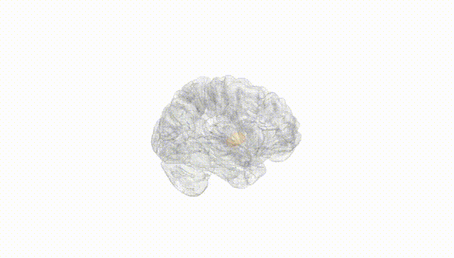 Hemisphere White