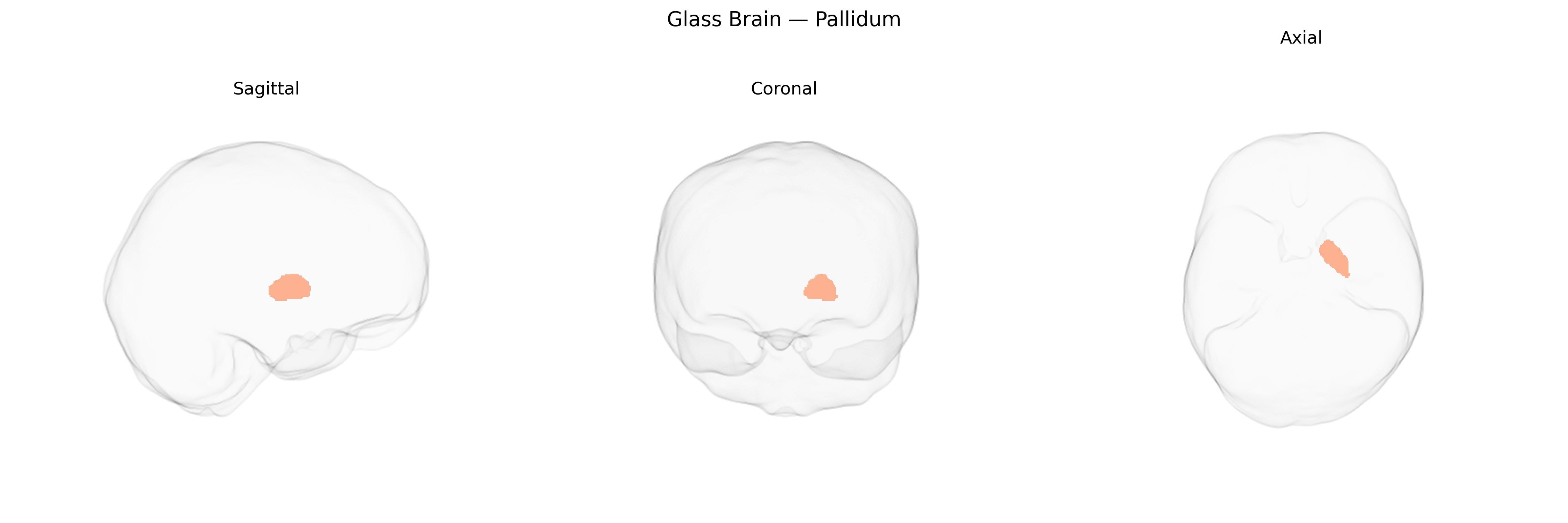 Triplanar Ghost Brain