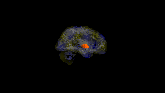 Hemisphere Black