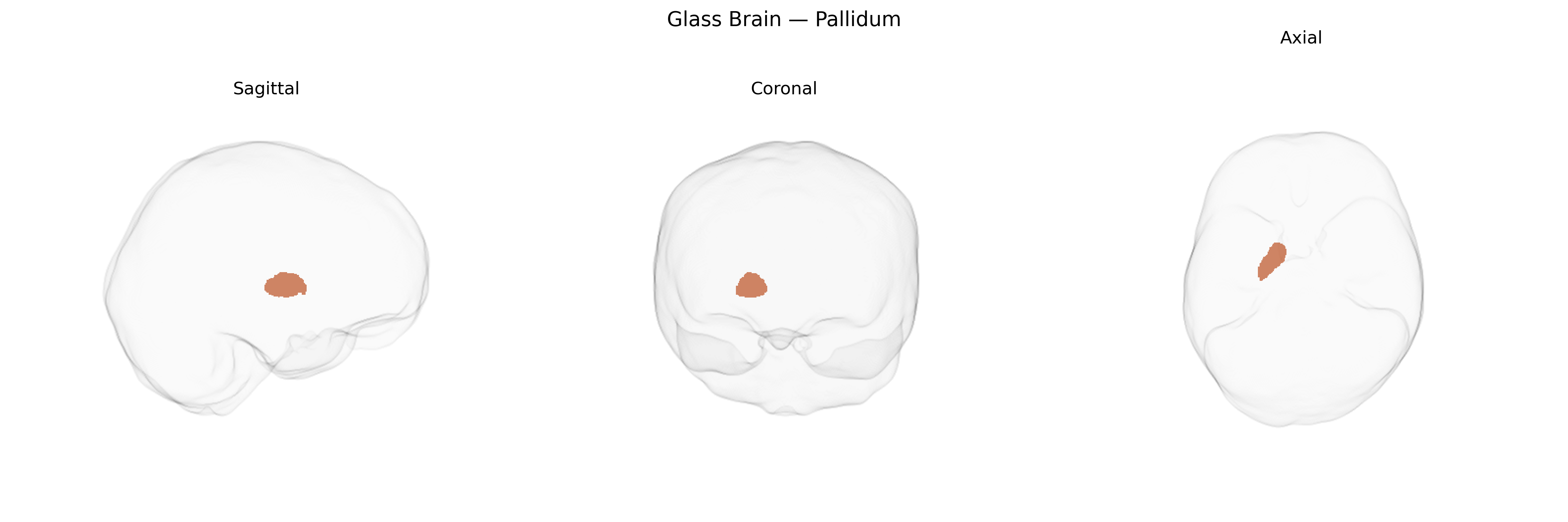 Triplanar Ghost Brain
