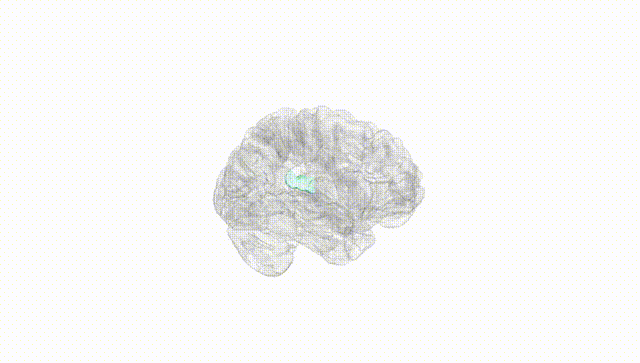 Hemisphere White
