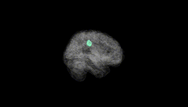 Full Brain Black